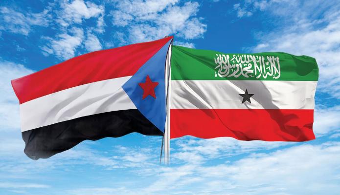 منظور دولي: حان الوقت للتعاون مع جنوب اليمن وصوماليلاند لحل معضلة الحوثيين