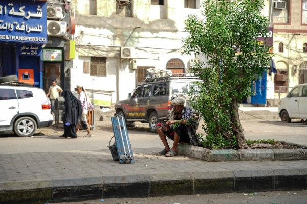 مدن بلا ظل: لماذا غاب التخطيط الشجري عن المدن اليمنية؟